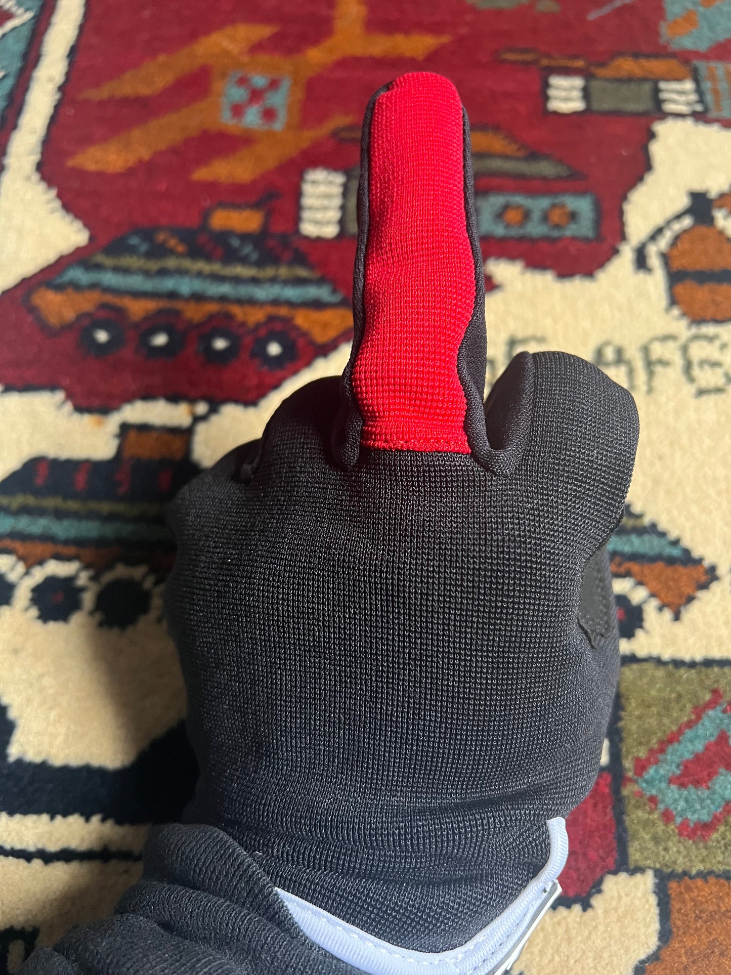 “Watch For It” Riding Gloves